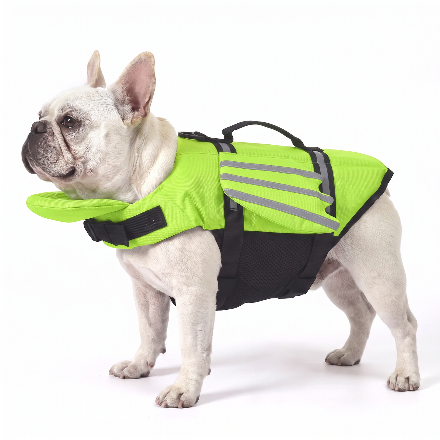 Splash Paws™ Chin Float Life Jacket