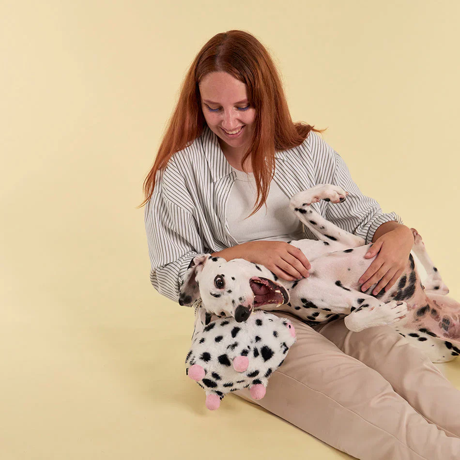 Why Dogs Love Plush Toys: Comfort, Fun, and Play