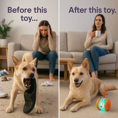 🐶Keep Your Pet Relaxed, Happy & Content for Cat🐱 & Dog🐶