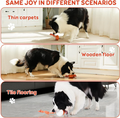 🐶Keep Your Pet Relaxed, Happy & Content for Cat🐱 & Dog🐶