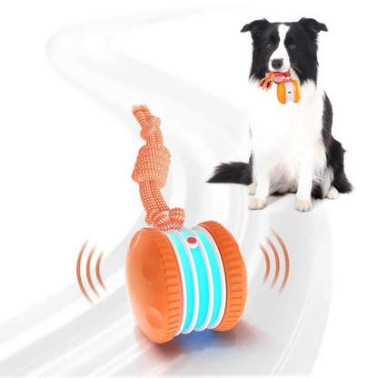 🐶Keep Your Pet Relaxed, Happy & Content for Cat🐱 & Dog🐶