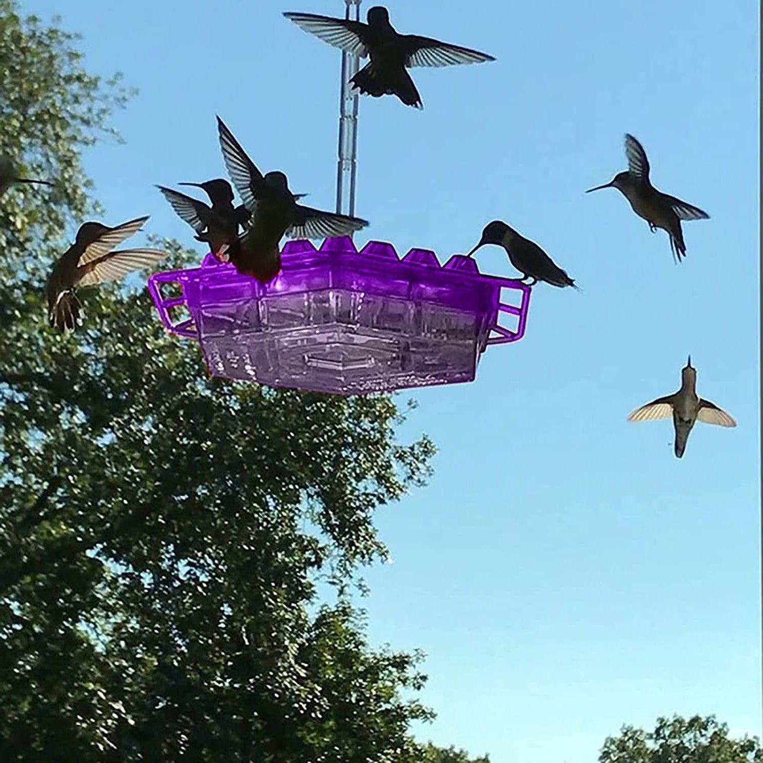 Ant-Proof Hummingbird Feeder | Outdoor Hanging – Bee-Resistant Hex Design