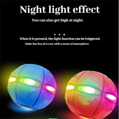 A Transforming Dog Toy Ball That Pops into a Flying Disc for Outdoor Fetch Play