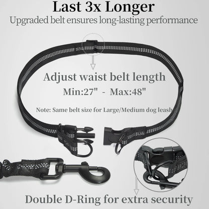 Comfortable Hands-Free Dog Leash with Bungee & Storage – Walk, Jog & Run with Ease