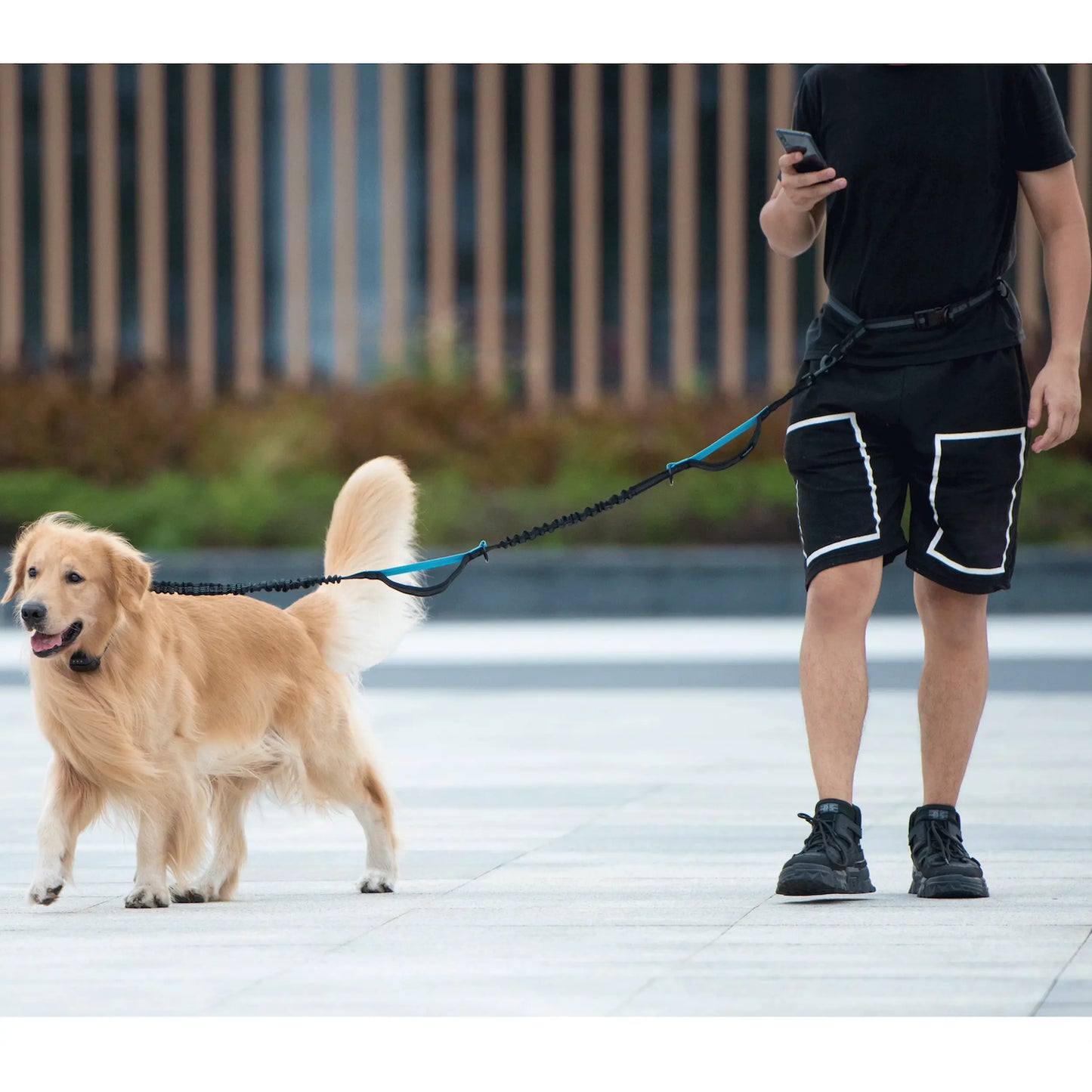 Comfortable Hands-Free Dog Leash with Bungee & Storage – Walk, Jog & Run with Ease