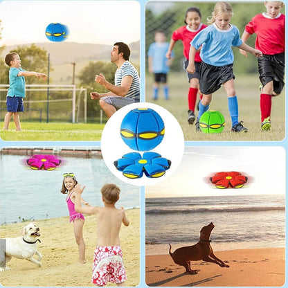 A Transforming Dog Toy Ball That Pops into a Flying Disc for Outdoor Fetch Play