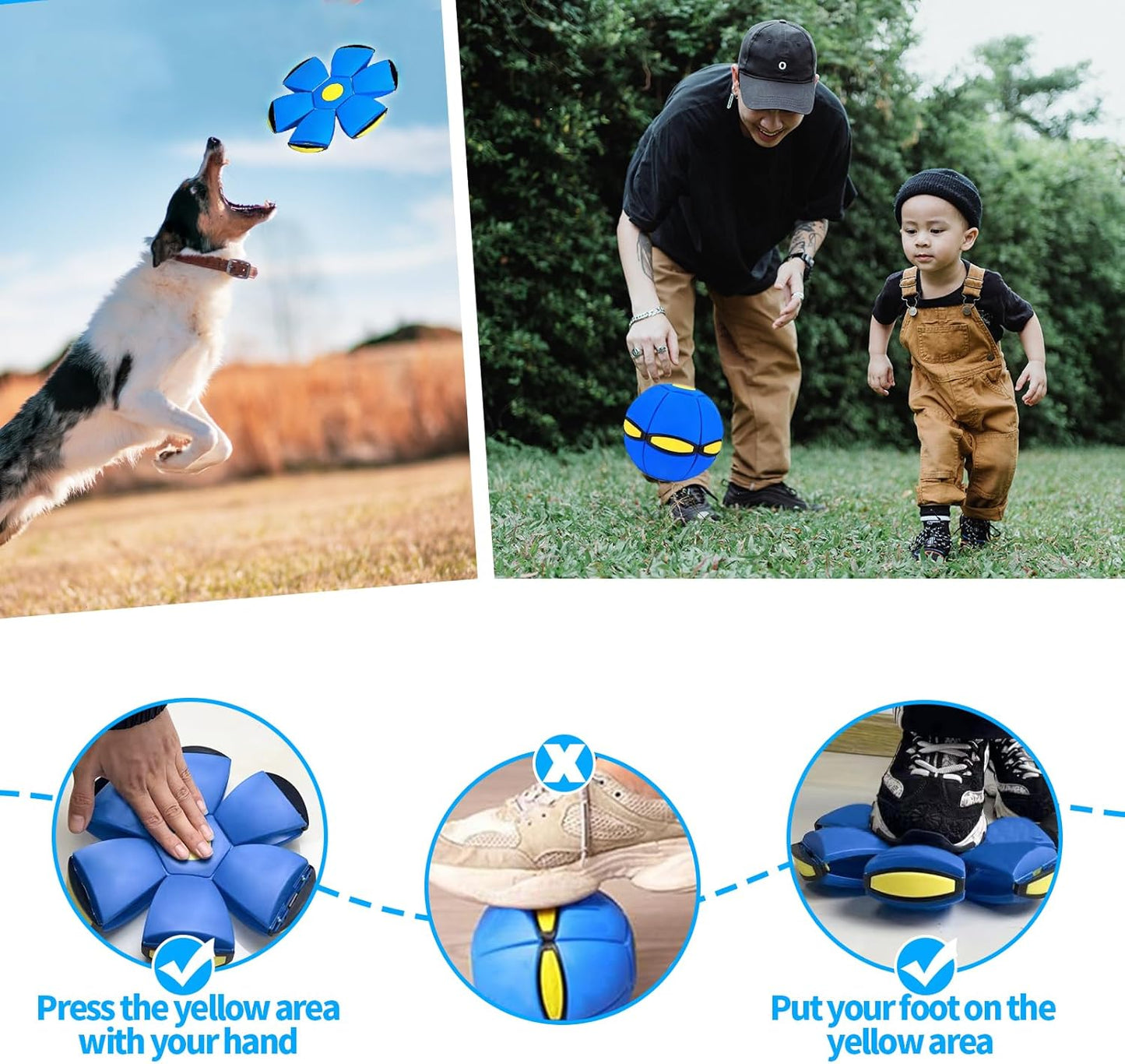 A Transforming Dog Toy Ball That Pops into a Flying Disc for Outdoor Fetch Play