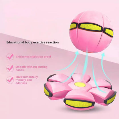 A Transforming Dog Toy Ball That Pops into a Flying Disc for Outdoor Fetch Play