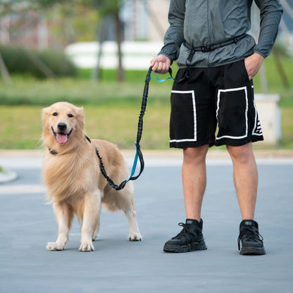 Comfortable Hands-Free Dog Leash with Bungee & Storage – Walk, Jog & Run with Ease