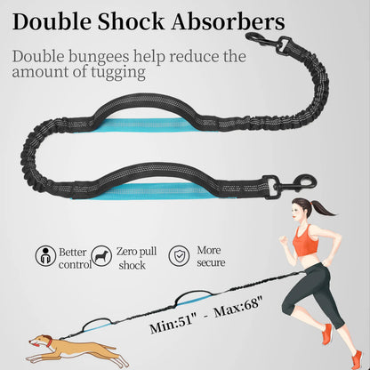 Comfortable Hands-Free Dog Leash with Bungee & Storage – Walk, Jog & Run with Ease