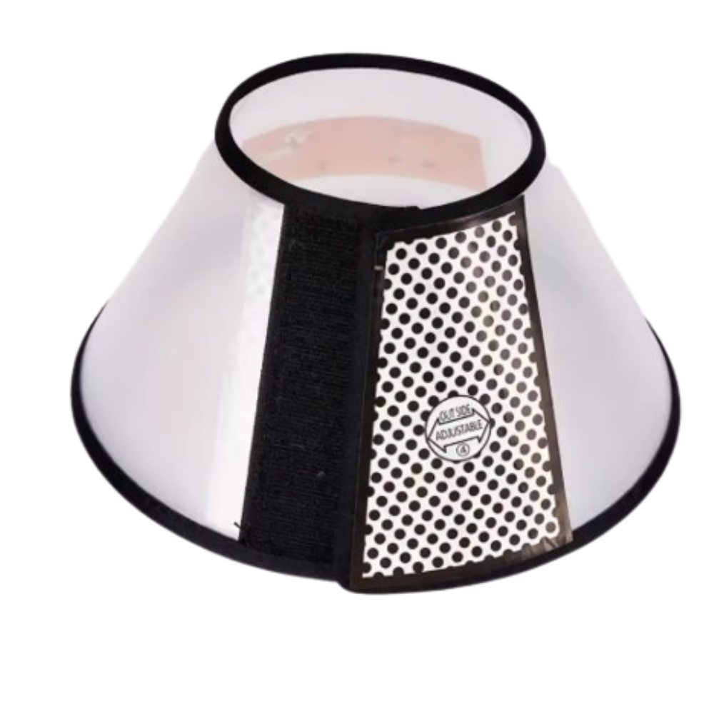 Protective Pet Collar | Lightweight Transparent Recovery Cone for Dogs & Cats