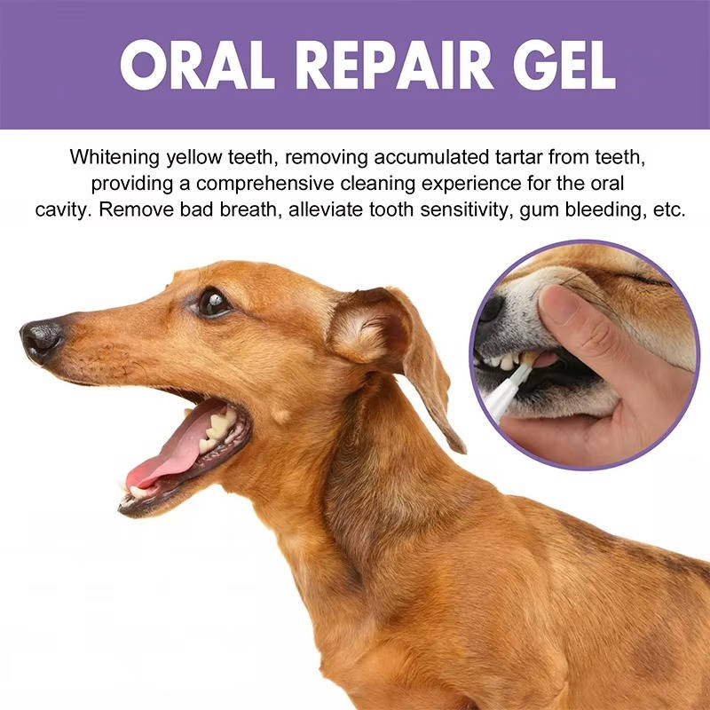 Dog Oral Care Gel | Gentle Daily Breath Freshener & Gum Support