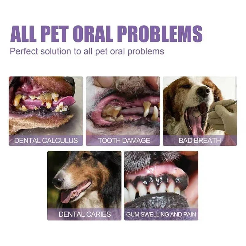 Dog Oral Care Gel | Gentle Daily Breath Freshener & Gum Support