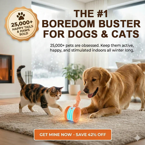 🐶Keep Your Pet Relaxed, Happy & Content for Cat🐱 & Dog🐶