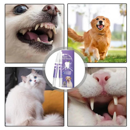 Dog Oral Care Gel | Gentle Daily Breath Freshener & Gum Support