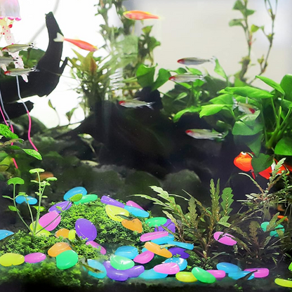 🔥Buy 1000 Get 1000 Free🔥Luminous Stones for Garden & Home Decoration